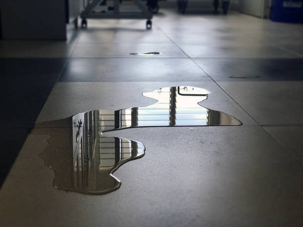 Best Carpet water damage restoration  in Moorestown Lenola, NJ