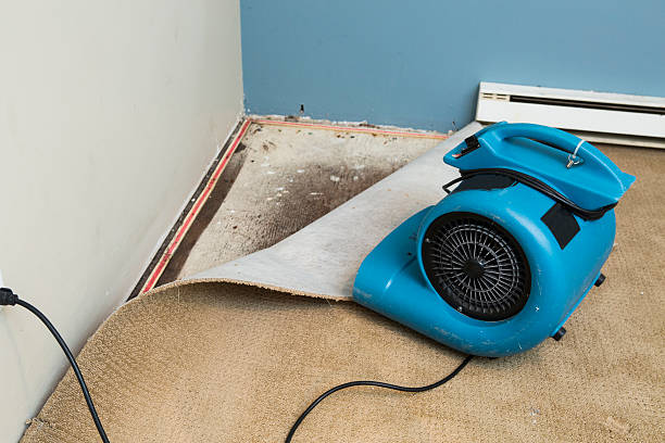 Best 24-hour water damage restoration  in Moorestown Lenola, NJ